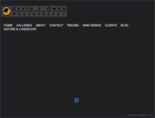 Tablet Screenshot of davidjowen.com